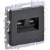 BRITE Розетка компьютерная двойная RJ45 кат.5E РК10-2-БрГ графит IEK