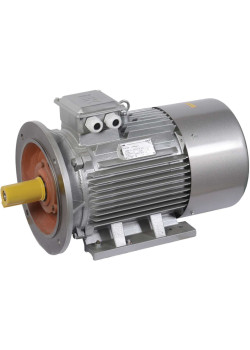 Электродвигатель асинхронный трехфазный АИР 180M2 660В 30кВт 3000об/мин 2081 DRIVE IEK
