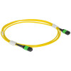 Оптические кабельные сборки GREEN Оптические кабельные сборки GREEN