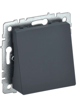 BRITE Вывод кабеля МВ10-БрГ графит IEK