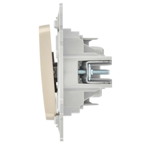 FLITE Выключатель 1-клавишный 10А ВС11-1-0-ФлШ шампань IEK