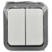 TORS Выключатель двухклавишный 10А IP55 TS205 серо-белый IEK