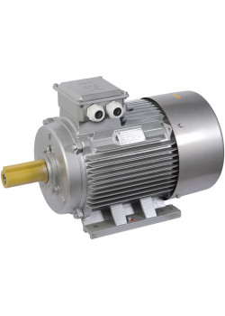 Электродвигатель асинхронный трехфазный АИР 200M2 660В 37кВт 3000об/мин 1081 DRIVE IEK