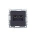 BRITE Розетка компьютерная двойная RJ45 кат.5E РК10-2-БрГ графит IEK