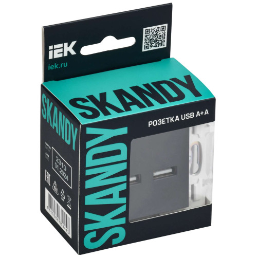 SKANDY Розетка USB A+C 3,1А SK-R14Bl черный IEK