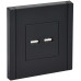 FORTE&PIANO Розетка USB A+A 3,1А FP149 черный IEK